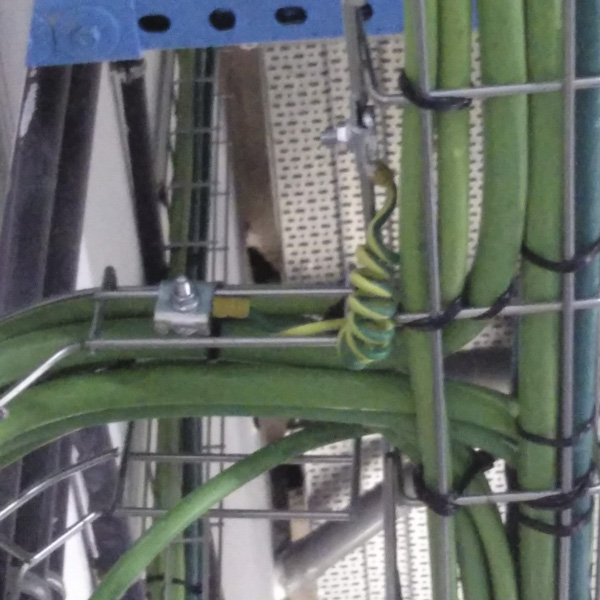 Cableado verde reforzado con bovina